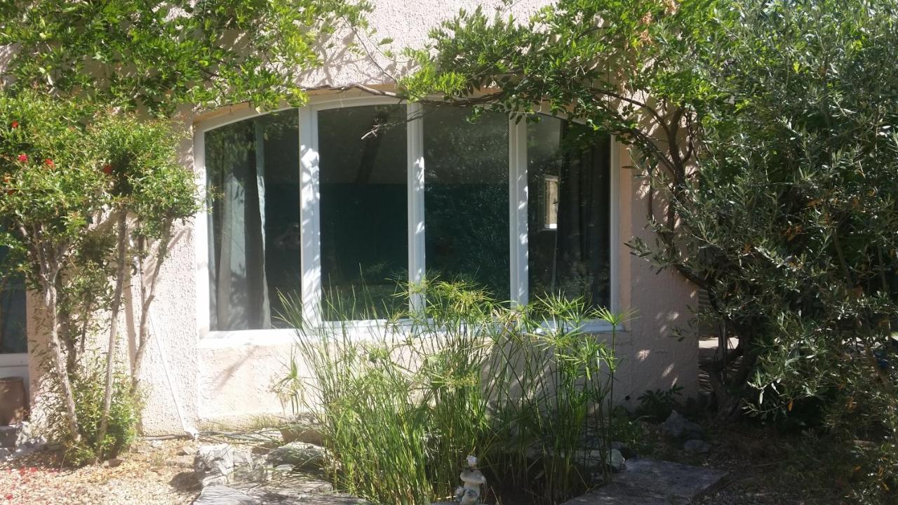 Le Clos Des Olivettes Sainte-Croix-de-Quintillargues Eksteriør billede